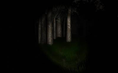 Палочник / Slender: The Eight Pages v0.9.7 (2012 - Eng) + Портативная версия / Portable